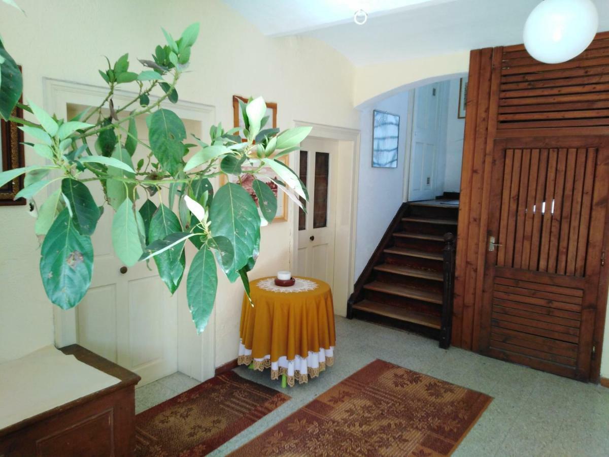 Apartments Banko Bled Extérieur photo